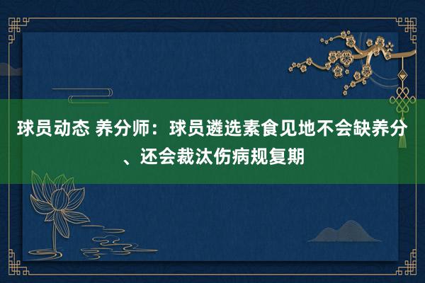 球员动态 养分师：球员遴选素食见地不会缺养分、还会裁汰伤病规复期