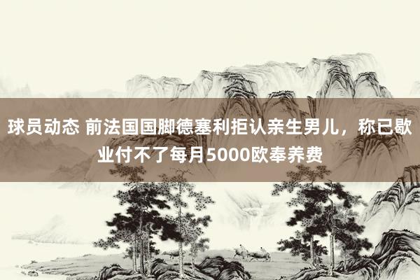 球员动态 前法国国脚德塞利拒认亲生男儿，称已歇业付不了每月5000欧奉养费