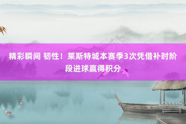 精彩瞬间 韧性！莱斯特城本赛季3次凭借补时阶段进球赢得积分