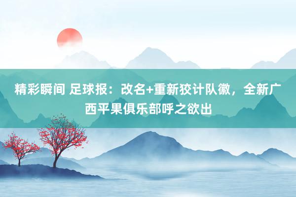 精彩瞬间 足球报：改名+重新狡计队徽，全新广西平果俱乐部呼之欲出