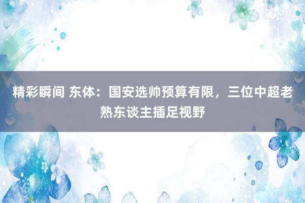 精彩瞬间 东体：国安选帅预算有限，三位中超老熟东谈主插足视野