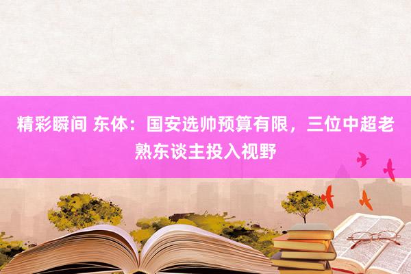 精彩瞬间 东体：国安选帅预算有限，三位中超老熟东谈主投入视野