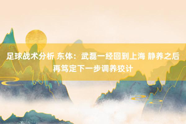 足球战术分析 东体：武磊一经回到上海 静养之后再笃定下一步调养狡计