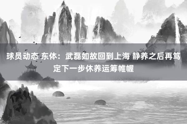 球员动态 东体：武磊如故回到上海 静养之后再笃定下一步休养运筹帷幄