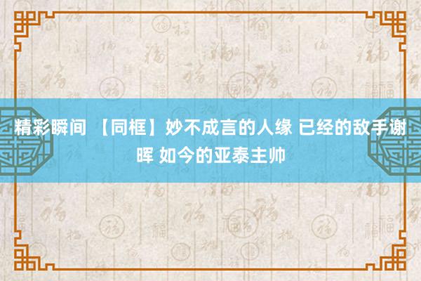 精彩瞬间 【同框】妙不成言的人缘 已经的敌手谢晖 如今的亚泰主帅