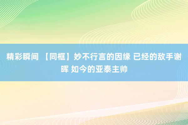 精彩瞬间 【同框】妙不行言的因缘 已经的敌手谢晖 如今的亚泰主帅