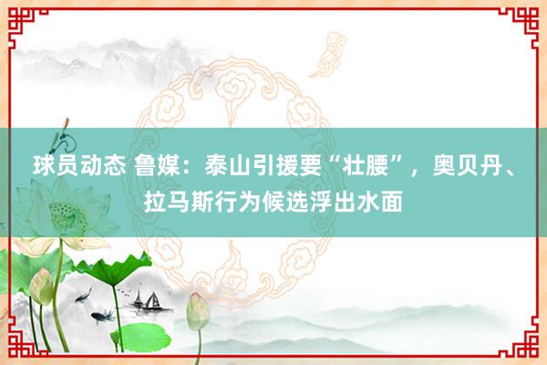 球员动态 鲁媒：泰山引援要“壮腰”，奥贝丹、拉马斯行为候选浮出水面