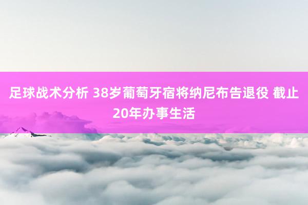 足球战术分析 38岁葡萄牙宿将纳尼布告退役 截止20年办事生活