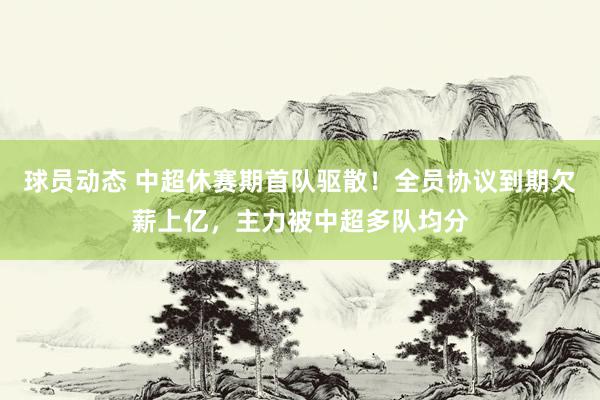 球员动态 中超休赛期首队驱散！全员协议到期欠薪上亿，主力被中超多队均分