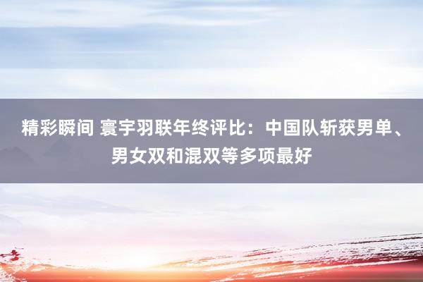 精彩瞬间 寰宇羽联年终评比：中国队斩获男单、男女双和混双等多项最好